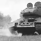Perro bomba ruso antes de destruir tanque alemn WWII