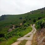 DSCN6269