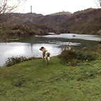 08032008032