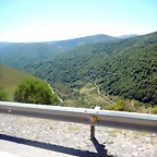 DSCN8459