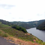 DSCN3465
