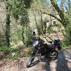 Fervenza 029r