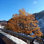 DSCN9085