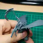 Magnetized Terradon (2)