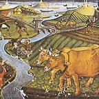 campesinos3