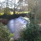 DSCN0095