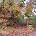 DSCN0028
