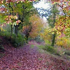 DSCN0047