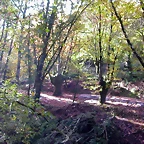 DSCN0087