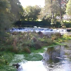 DSCN0097