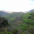 DSCN9114