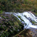 DSCN0006