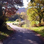DSCN0019