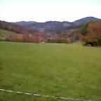 DSCN0039