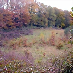 DSCN0048