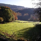 DSCN9990