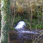 DSCN0011