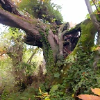 DSCN0049