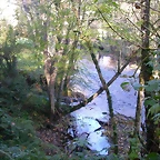 DSCN9982