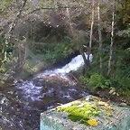 DSCN9989
