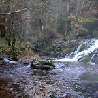 DSCN0002