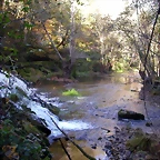 DSCN0008