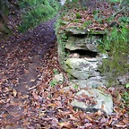 DSCN0030