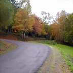 DSCN0041