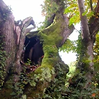 DSCN0050