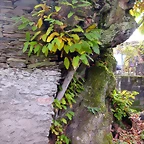 DSCN0066