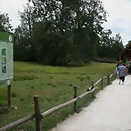 Le Parc des Felins agost 2010 1142