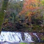 DSCN0009