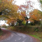 DSCN0042