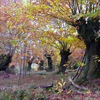 DSCN0051