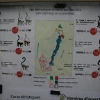 Le Parc des Felins agost 2010 1135