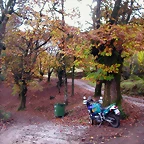 DSCN0062