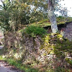 DSCN0015
