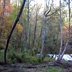 DSCN0010