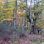 DSCN0044