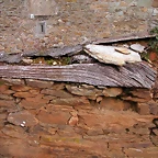 DSCN0058