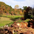 DSCN0080