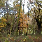 DSCN0045