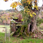 DSCN0061