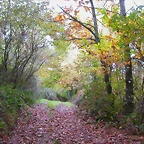 DSCN0046