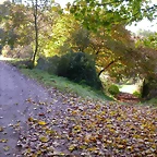 DSCN0083