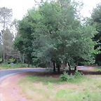 64-IMG_1746