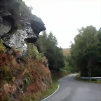 DSCN8374
