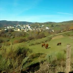 Castejeira