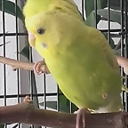 20170616_120524
