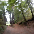 DSCN7300